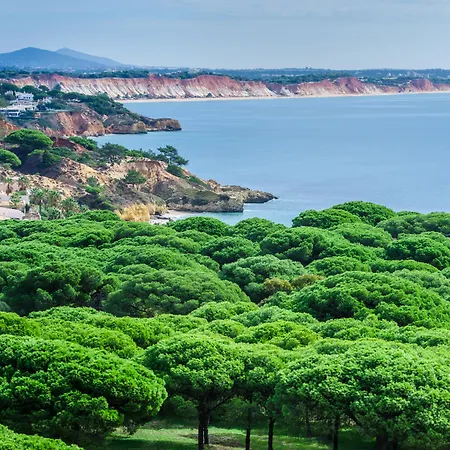 Готель Aqua Pedra Dos Bicos Design - Adults Friendly 4*