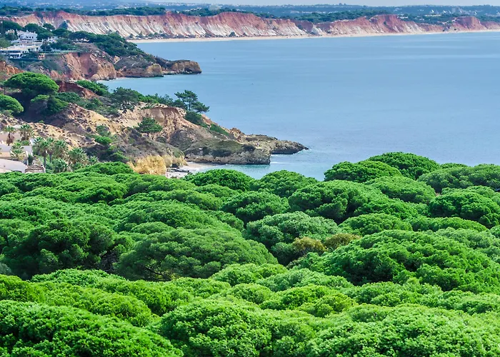 호텔 Aqua Pedra Dos Bicos Design - Adults Friendly 4*